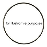 Aquatica O-ring for 90SX - Underwater - Helix Camera & Video - Helix Camera