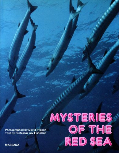 Mysteries of the Red Sea - Photo-Video - Helix Camera & Video - Helix Camera