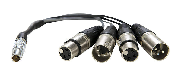 Atomos XLR Breakout Cable (in / out) - Photo-Video - Atomos - Helix Camera