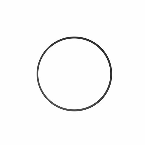 Ikelite O-Ring 0126 for Mini-C Light - Underwater - Ikelite - Helix Camera