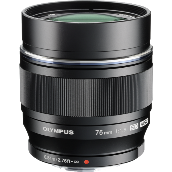 Olympus M.Zuiko Digital ED 75mm f1.8 - Black - Photo-Video - Olympus - Helix Camera 