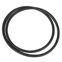 Ikelite Replacement O-Ring for DS-125/DS-160 & DLM Ports - Underwater - Ikelite - Helix Camera 