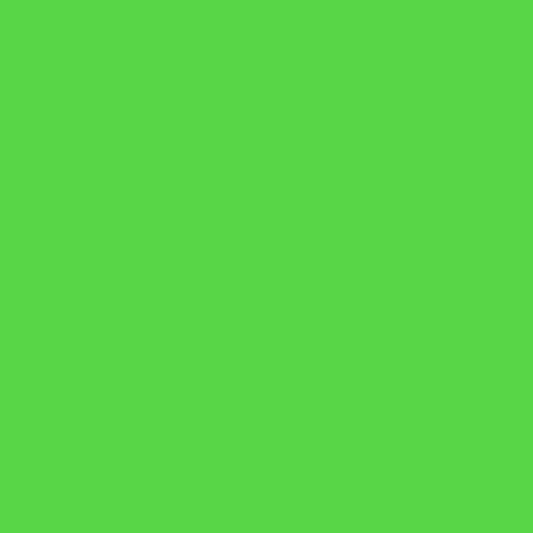 Studio-Assets Muslin 10'x12' - Chroma Key Green - Lighting-Studio - Studio-Assets - Helix Camera 