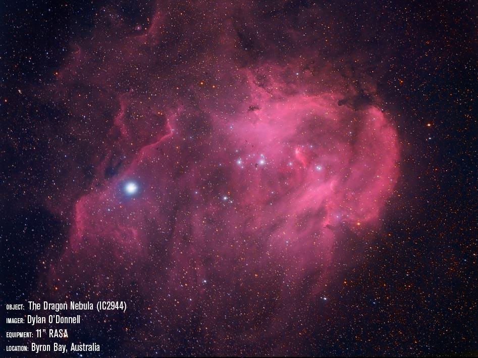 Celestron CGX 11" Rowe-Ackermann Schmidt Astrograph V2 - Telescopes - Celestron - Helix Camera 