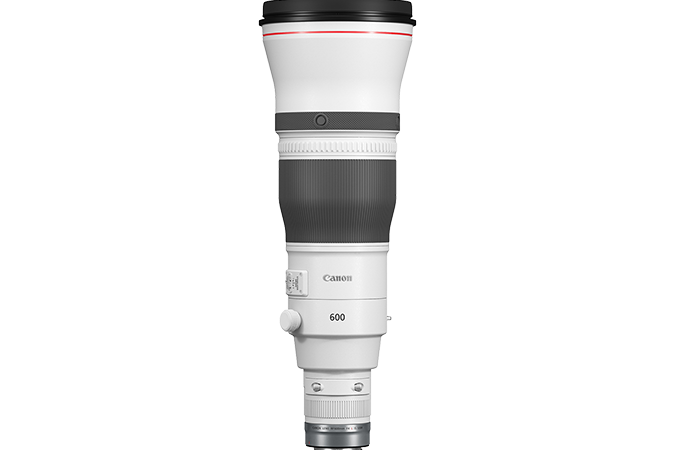 Canon RF 600mm f/4 L IS USM - Helix Camera 