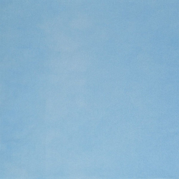 Studio-Assets Muslin for 8'x8' PXB System - Powder Blue - Helix Camera 